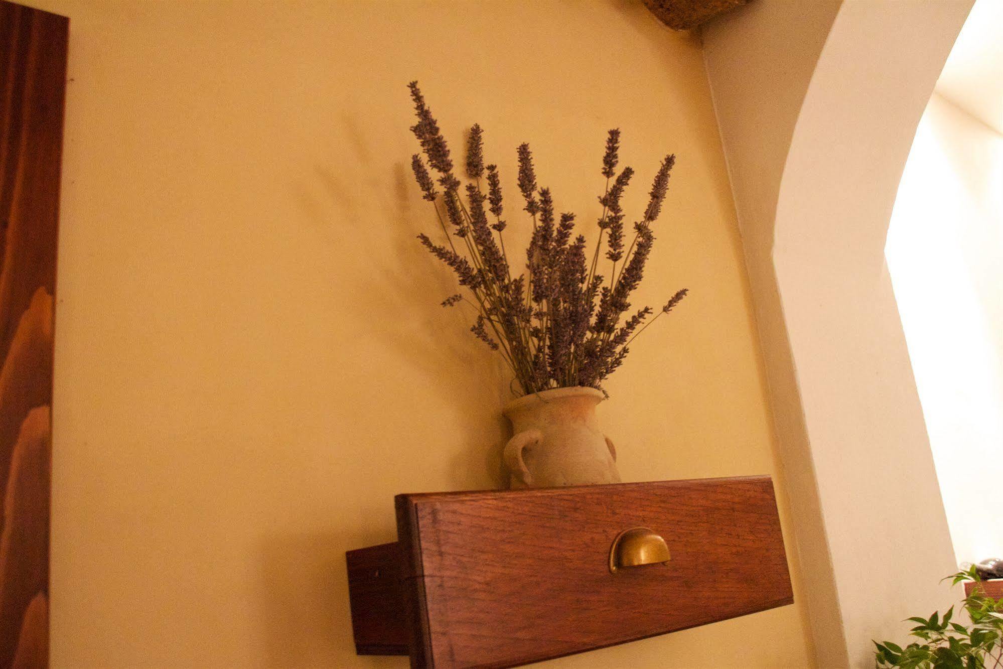 Hotel Stipe Drage Εξωτερικό φωτογραφία