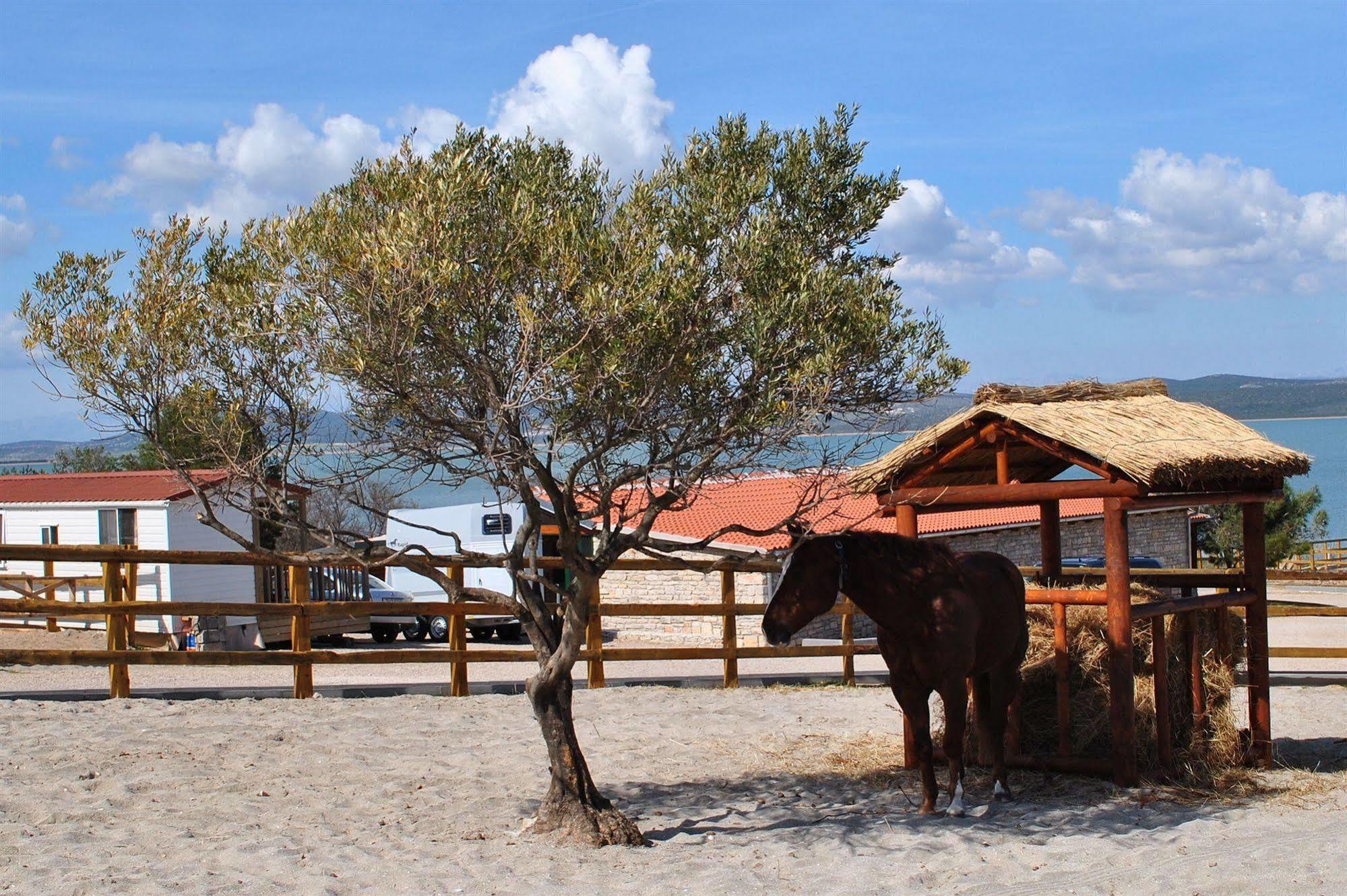 Hotel Stipe Drage Εξωτερικό φωτογραφία
