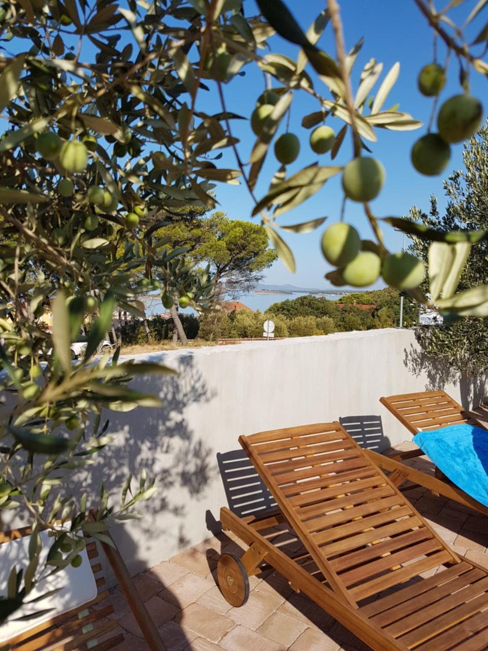 Hotel Stipe Drage Εξωτερικό φωτογραφία
