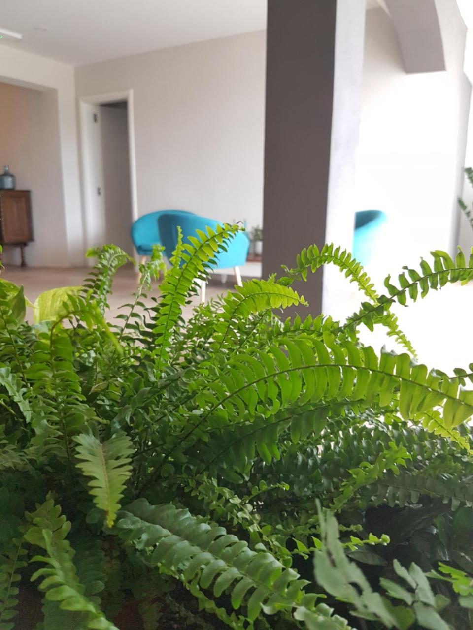 Hotel Stipe Drage Εξωτερικό φωτογραφία